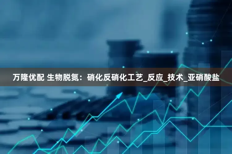 万隆优配 生物脱氮：硝化反硝化工艺_反应_技术_亚硝酸盐
