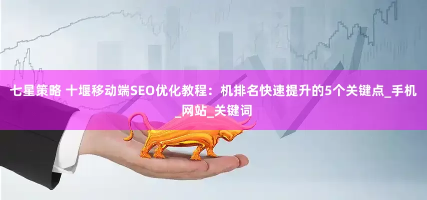 七星策略 十堰移动端SEO优化教程：机排名快速提升的5个关键点_手机_网站_关键词