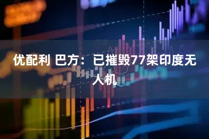 优配利 巴方：已摧毁77架印度无人机