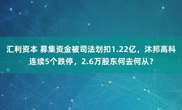 汇利资本 募集资金被司法划扣1.22亿，沐邦高科连续5个跌停，2.6万股东何去何从？
