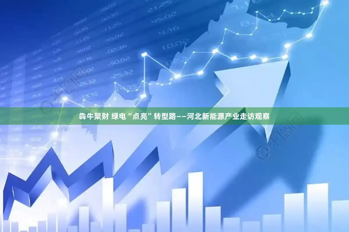 犇牛聚财 绿电“点亮”转型路——河北新能源产业走访观察