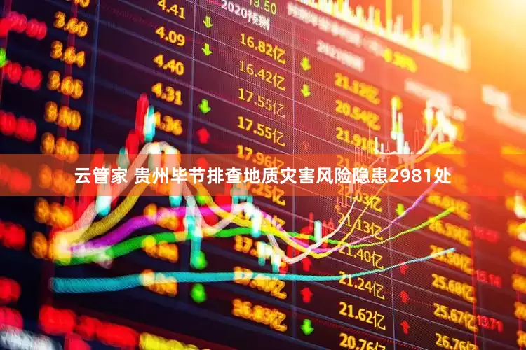 云管家 贵州毕节排查地质灾害风险隐患2981处